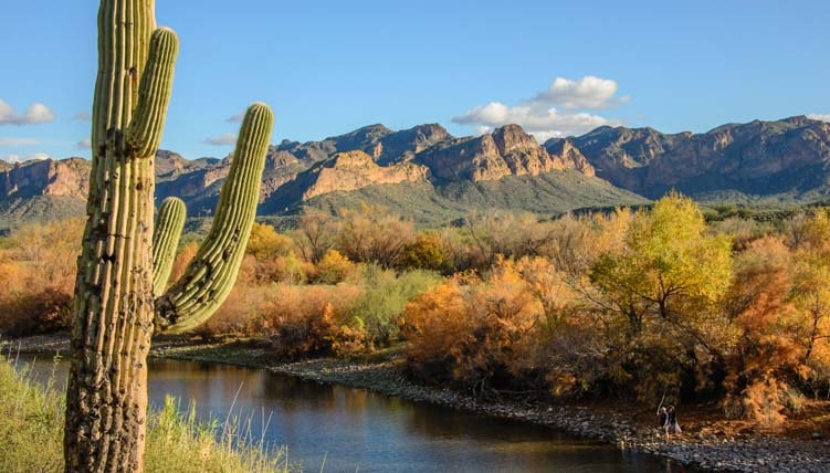 Salt River with autumn desert foliage along the Bush Highway in Arizona